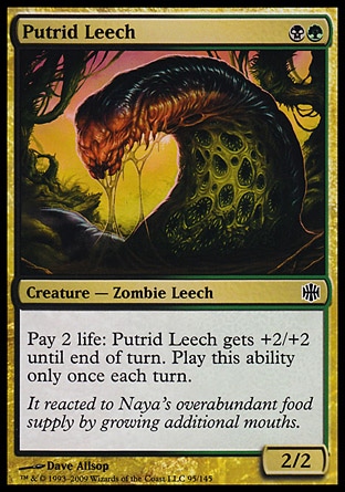 [Putrid Leech]