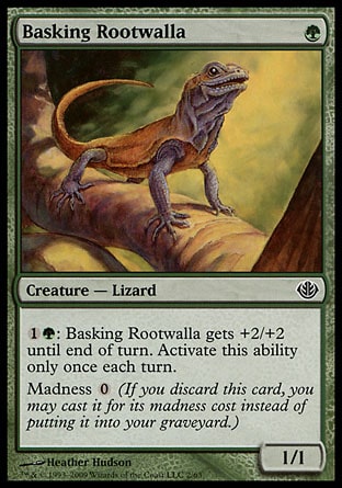 [Basking Rootwalla]